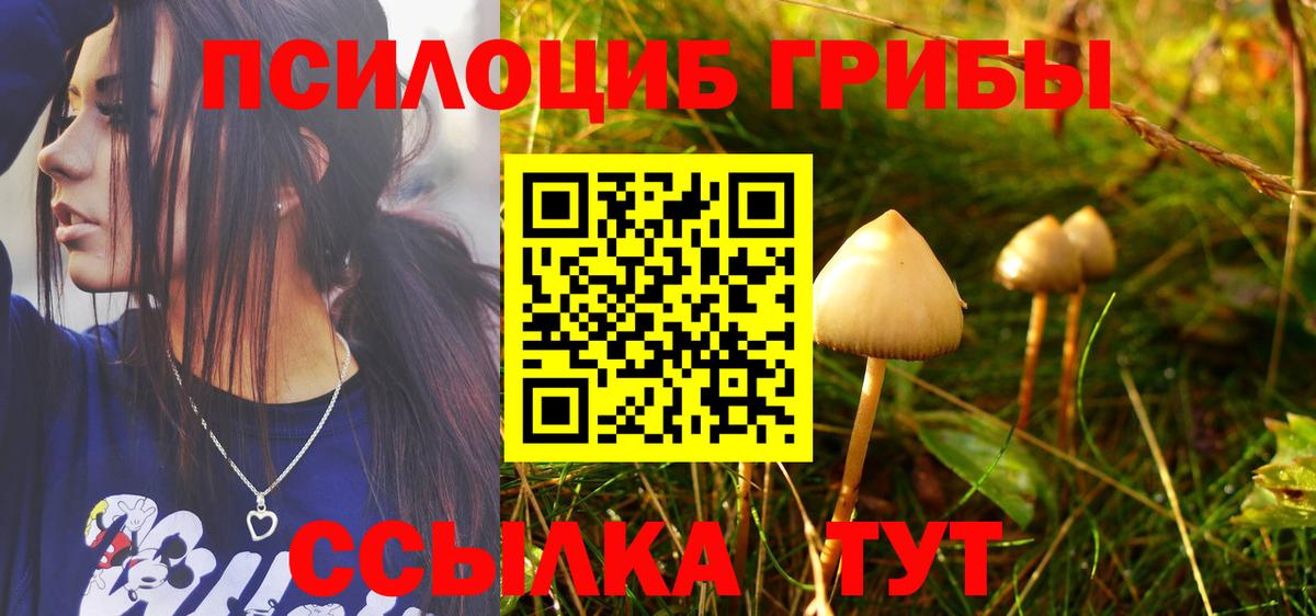 Псилоцибиновые грибы Cubensis Дмитров