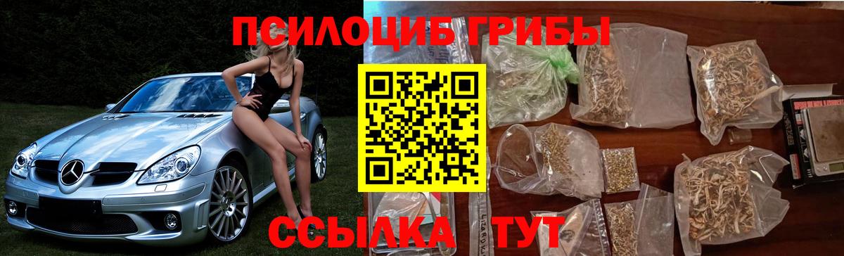 Дмитров  Псилоцибиновые грибы MAGIC MUSHROOMS  Вход с VPN  Псилоцибиновые грибы MAGIC MUSHROOMS 