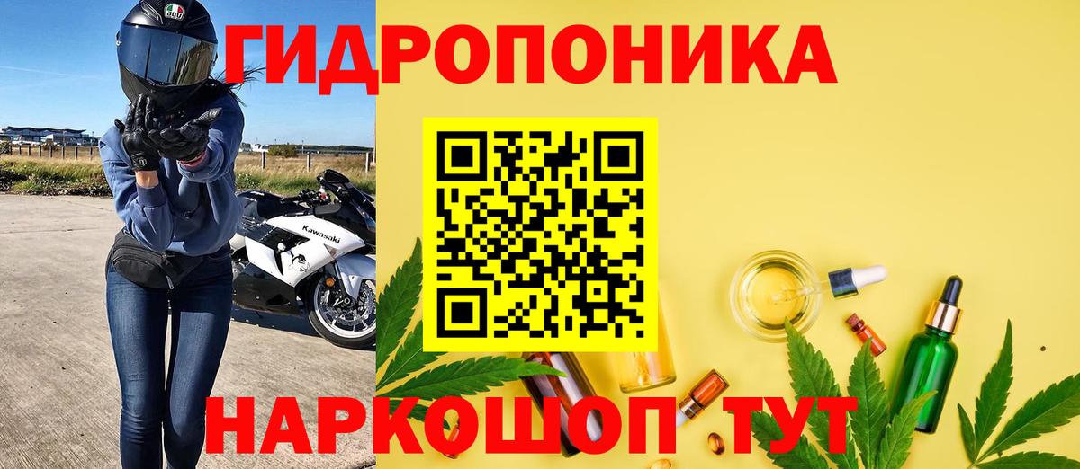 Канабис план Дмитров